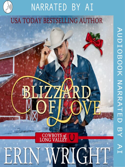 Title details for Blizzard of Love by Erin Wright - Available